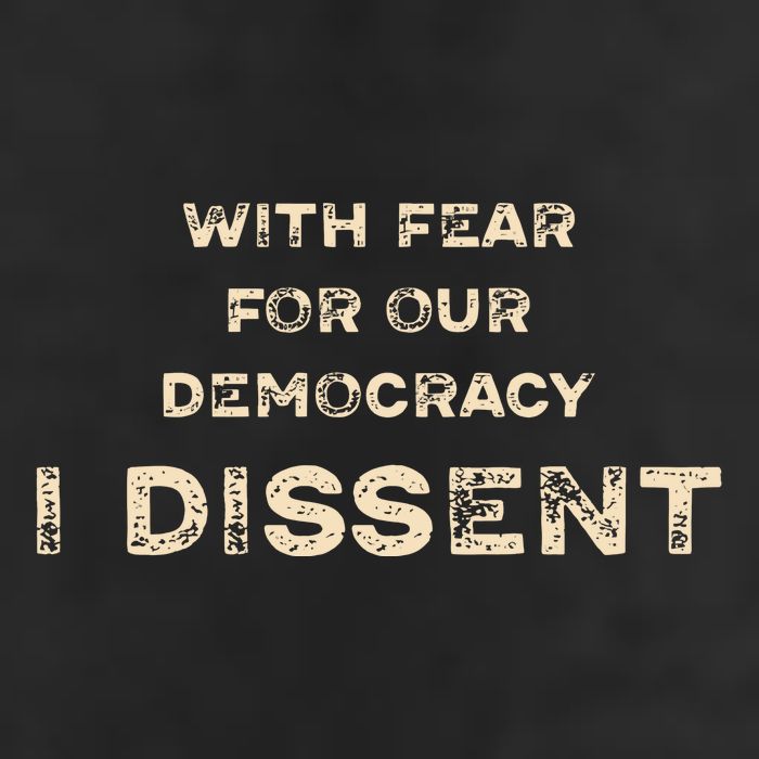 With Fear For Our Democracy I Dissent Cool Comfort Performance Bucket Hat