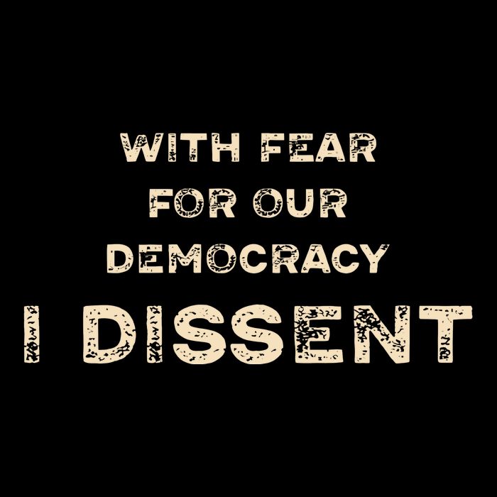 With Fear For Our Democracy I Dissent Impact Tech Backpack