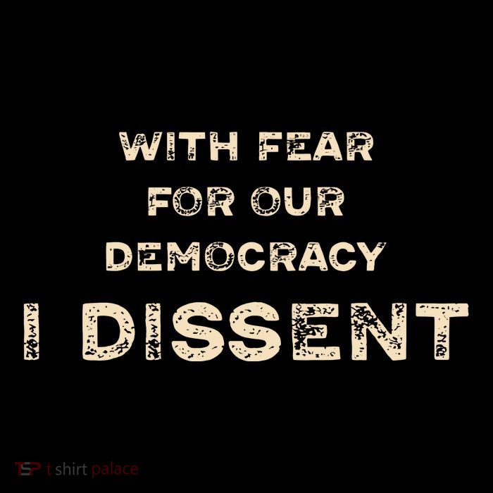 With Fear For Our Democracy I Dissent Flatbill Hat