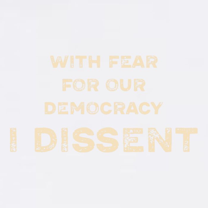 With Fear For Our Democracy I Dissent Garment-Dyed Sweatshirt