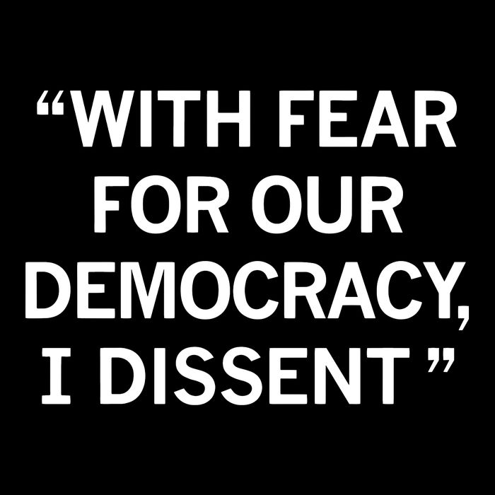 With Fear For Our Democracy I Dissent Performance Shirt