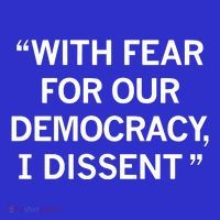 With Fear For Our Democracy I Dissent Premium T-Shirt