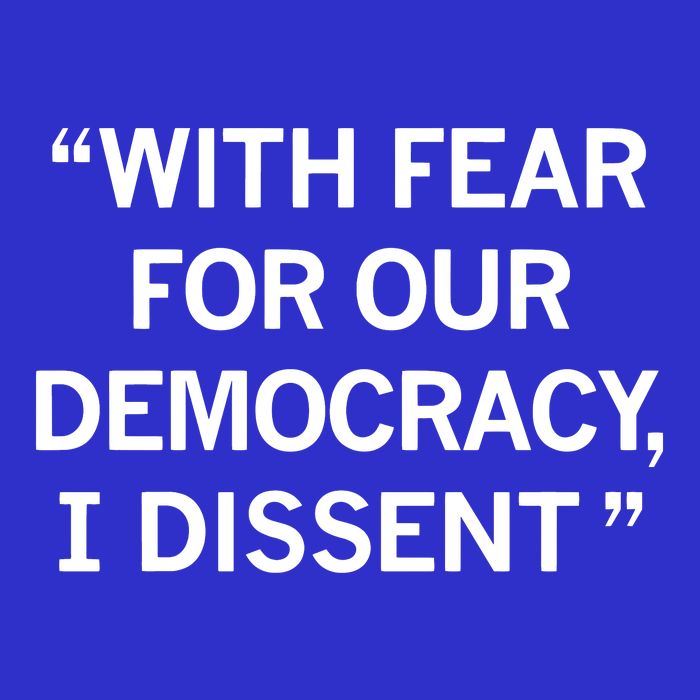 With Fear For Our Democracy I Dissent Pom Pom 12in Knit Beanie