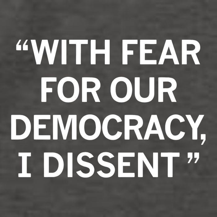 With Fear For Our Democracy I Dissent Vector Backpack