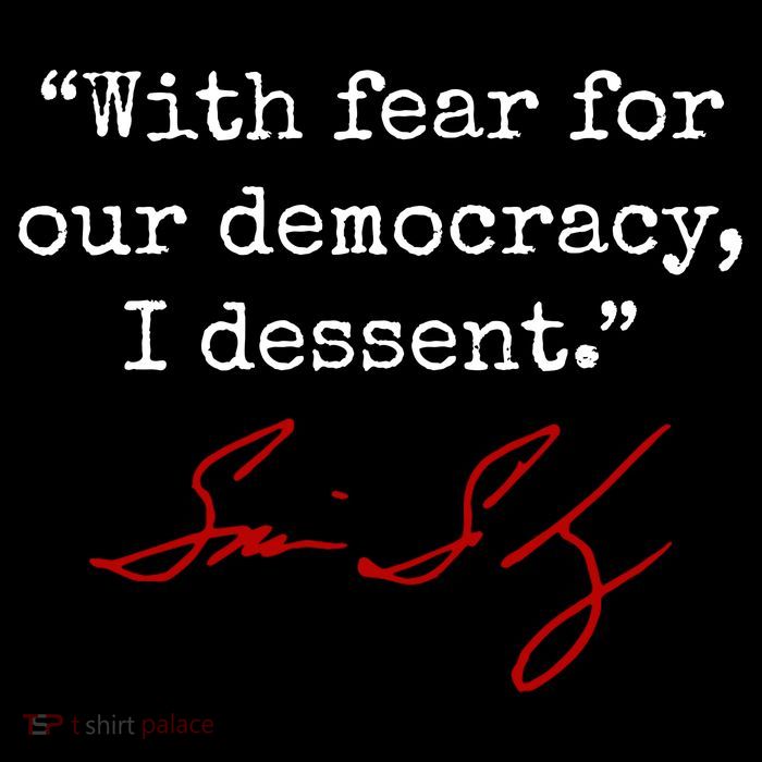 With Fear For Our Democracy I Dissent Bag