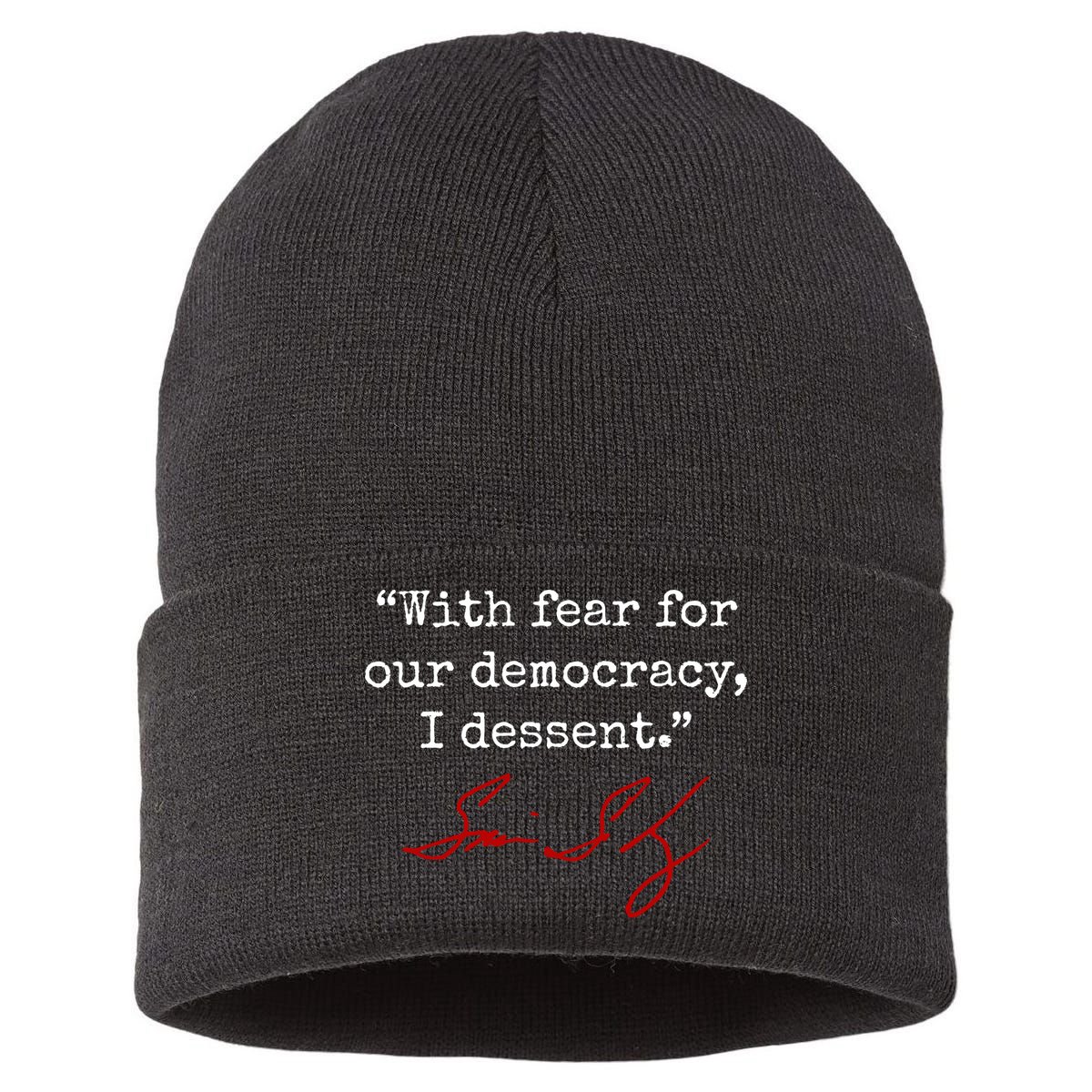 With Fear For Our Democracy I Dissent Sustainable Knit Beanie