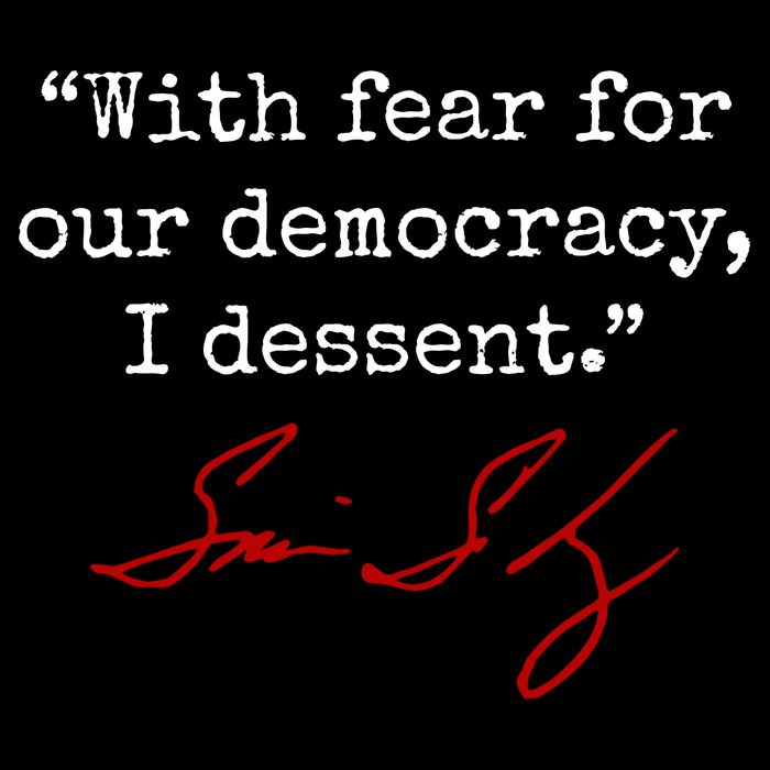 With Fear For Our Democracy I Dissent Zip Tote Bag