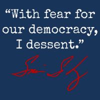 With Fear For Our Democracy I Dissent Infant Baby Jersey Bodysuit