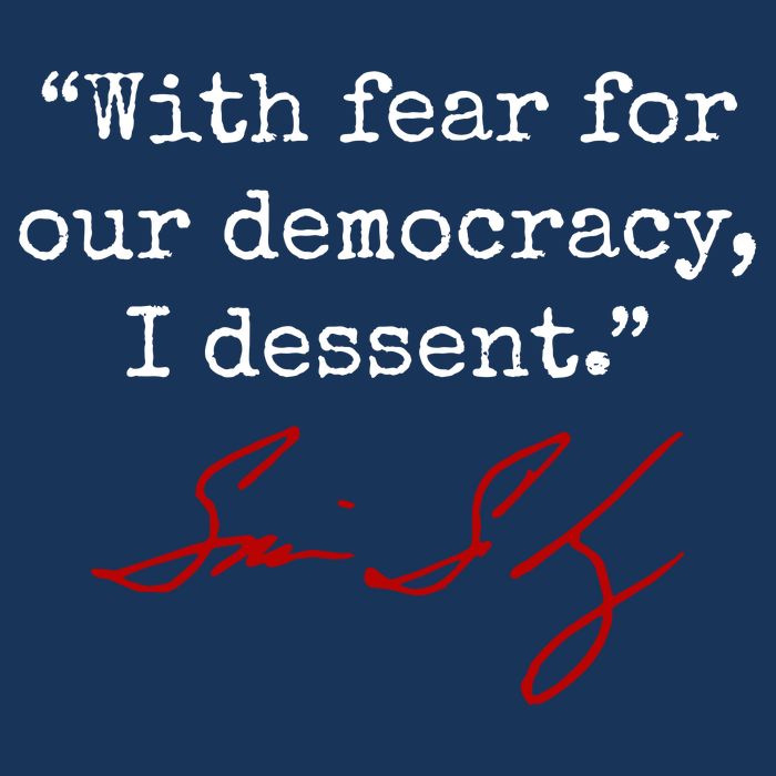 With Fear For Our Democracy I Dissent Infant Baby Jersey Bodysuit
