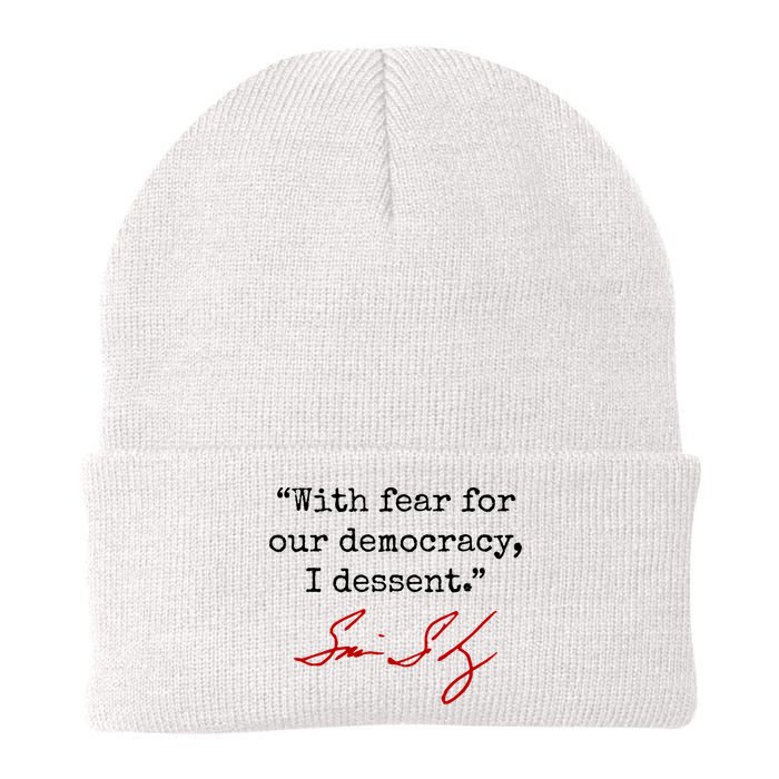 With Fear For Our Democracy I Dissent Beanie