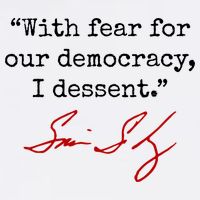 With Fear For Our Democracy I Dissent Baby Bodysuit