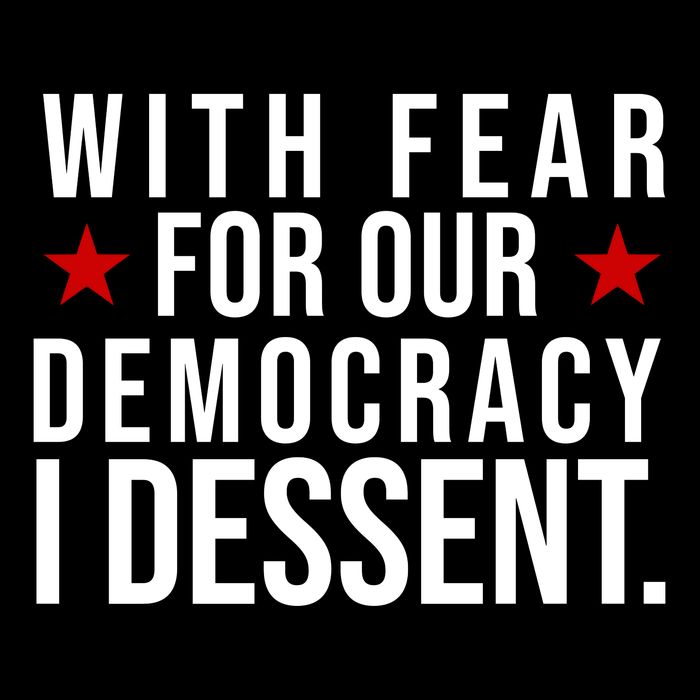 With Fear For Our Democracy I Dessent Cropped Pullover Crew