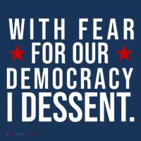 With Fear For Our Democracy I Dessent Poster