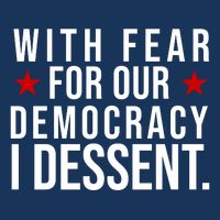With Fear For Our Democracy I Dessent Pom Pom 12in Knit Beanie