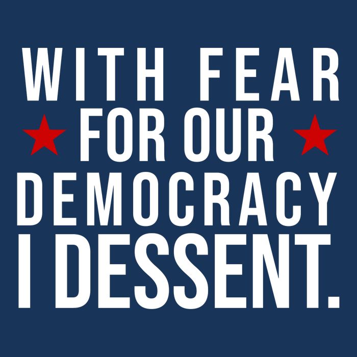 With Fear For Our Democracy I Dessent Toddler T-Shirt