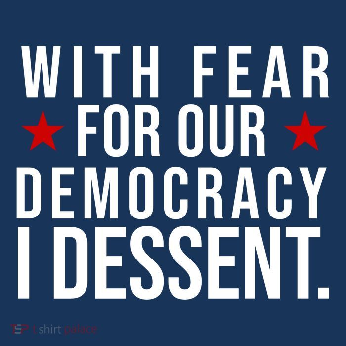 With Fear For Our Democracy I Dessent Visor