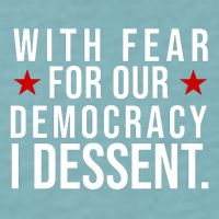 With Fear For Our Democracy I Dessent Sueded Cloud Jersey T-Shirt
