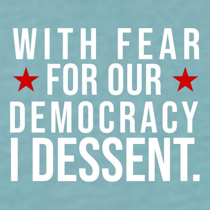 With Fear For Our Democracy I Dessent Sueded Cloud Jersey T-Shirt