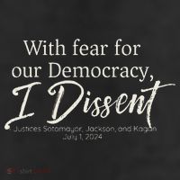 With Fear For Our Democracy I Dissent Scotus Immunity Case Cool Comfort Performance Bucket Hat