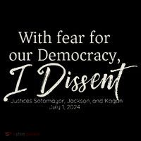 With Fear For Our Democracy I Dissent Scotus Immunity Case Sweatshirt