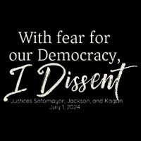 With Fear For Our Democracy I Dissent Scotus Immunity Case Bucket Hat