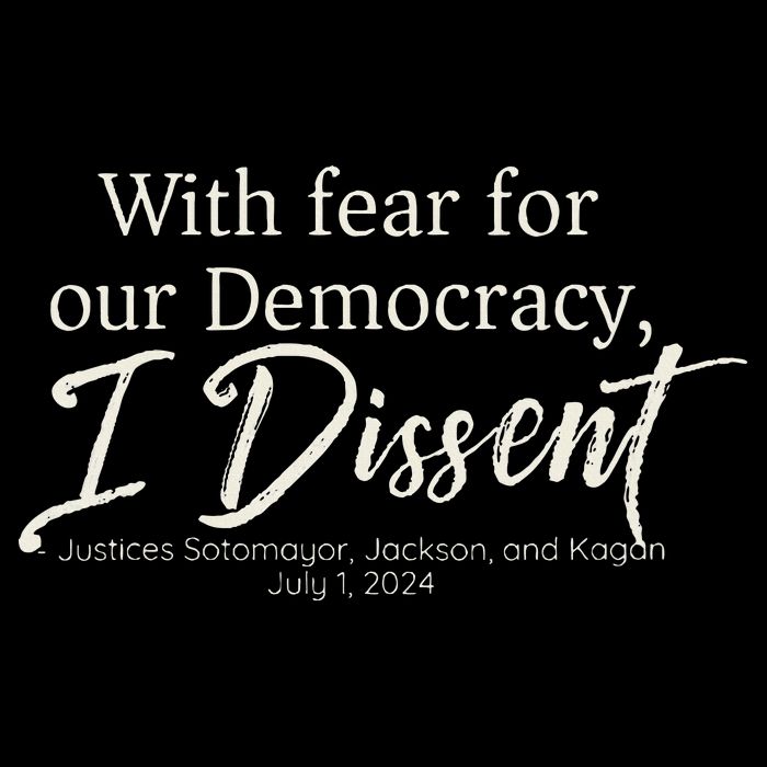 With Fear For Our Democracy I Dissent Scotus Immunity Case Bucket Hat