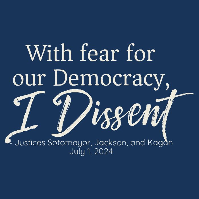 With Fear For Our Democracy I Dissent Scotus Immunity Case Infant Baby Jersey Bodysuit