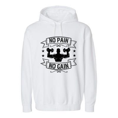 Workout Funny Gift No Pain No Gain Gift Garment-Dyed Fleece Hoodie