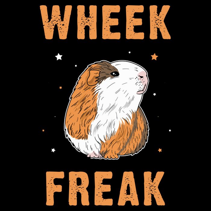 Wheek Freak Guinea Pig Wool Snapback Cap