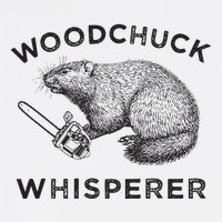 Woodchuck Funny Groundhog With Chainsaw Poster