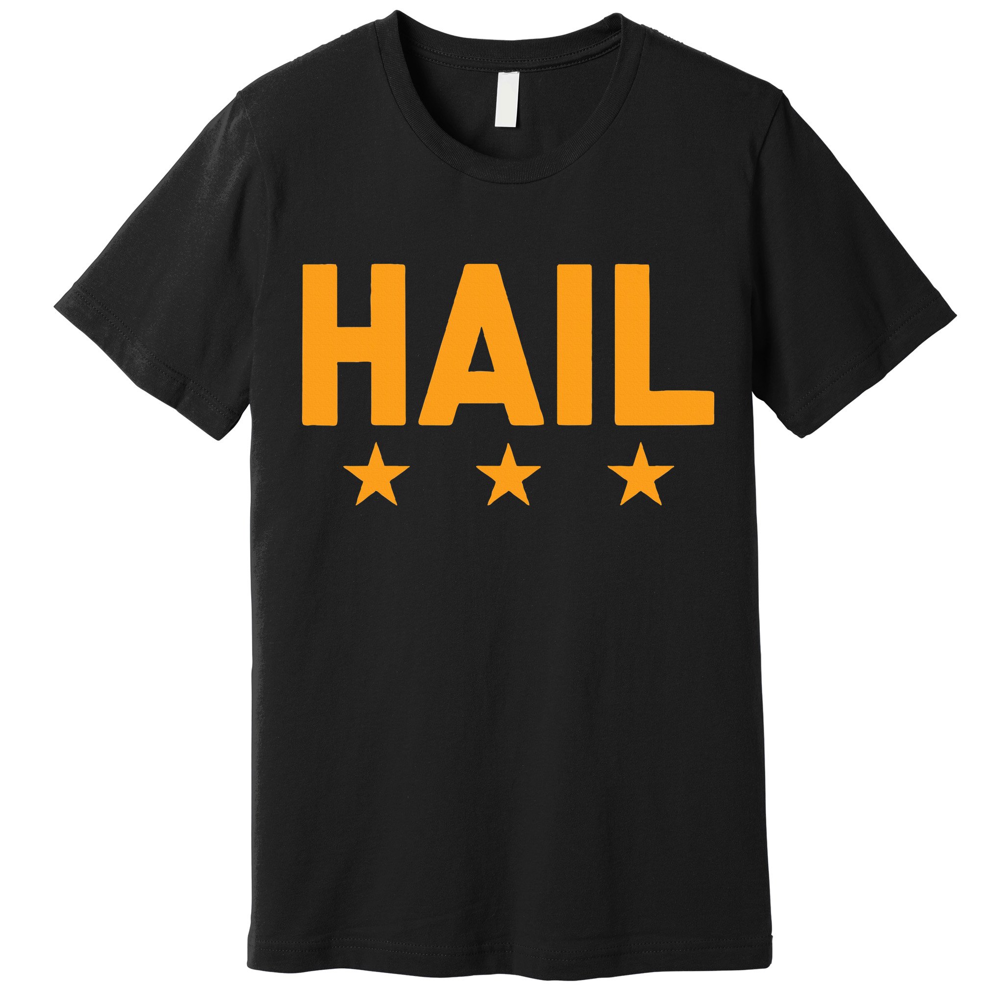 W.A.S.H.I.N.G.T.O.N. Football Hail Premium T-Shirt