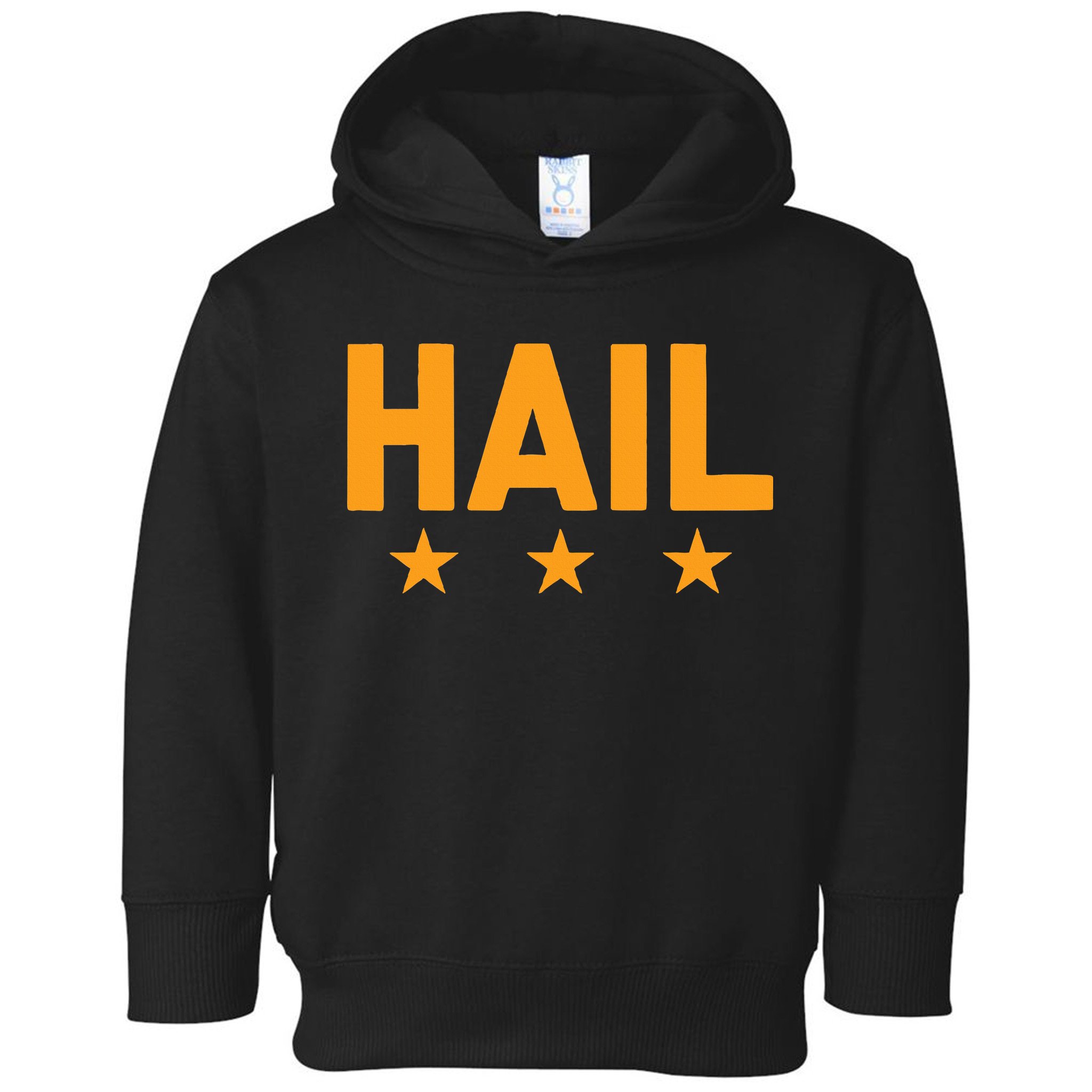 W.A.S.H.I.N.G.T.O.N. Football Hail Toddler Hoodie