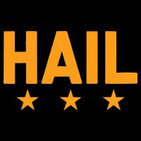 W.A.S.H.I.N.G.T.O.N. Football Hail Toddler T-Shirt
