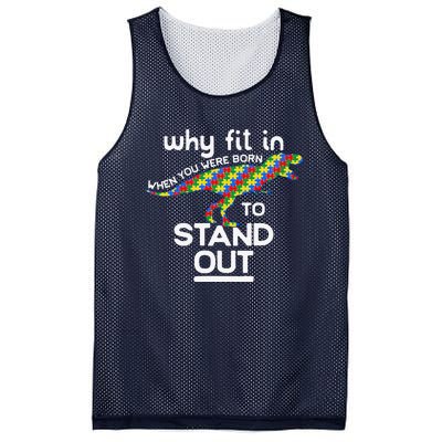 Why Fit In Born To Stand Out Autism Dinosaur Trex Mesh Reversible Basketball Jersey Tank