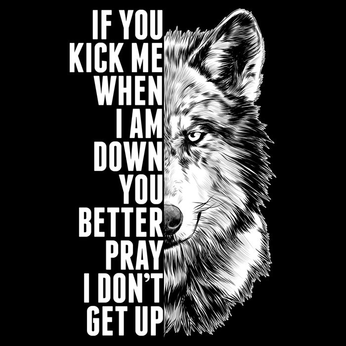 Wolf Face If You Kick Me When I Am Down You Better Pray I Don't Get Up 7-Panel Snapback Hat