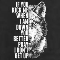 Wolf Face If You Kick Me When I Am Down You Better Pray I Don't Get Up 25L Jumbo Tote