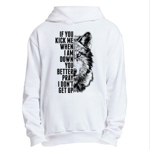 Wolf Face If You Kick Me When I Am Down You Better Pray I Don't Get Up Urban Pullover Hoodie