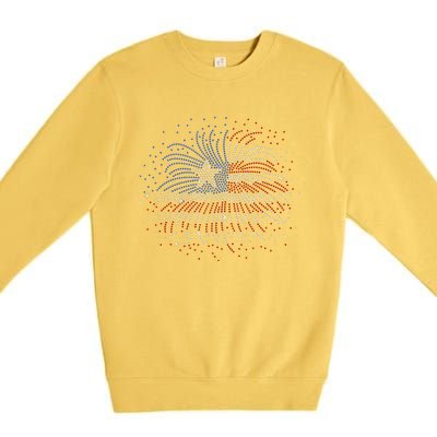 Wavy Flag Inside A Firework 4th Of July Bling Flag Usa Funny Premium Crewneck Sweatshirt