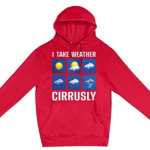 Weather Forecast Meteorologist Cute and Engaging Premium Pullover Hoodie