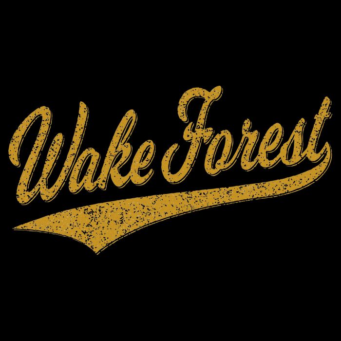 Wake Forest North Carolina Varsity Script Sports Jersey Sweatshirt