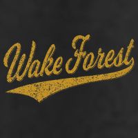 Wake Forest North Carolina Varsity Script Sports Jersey Hat