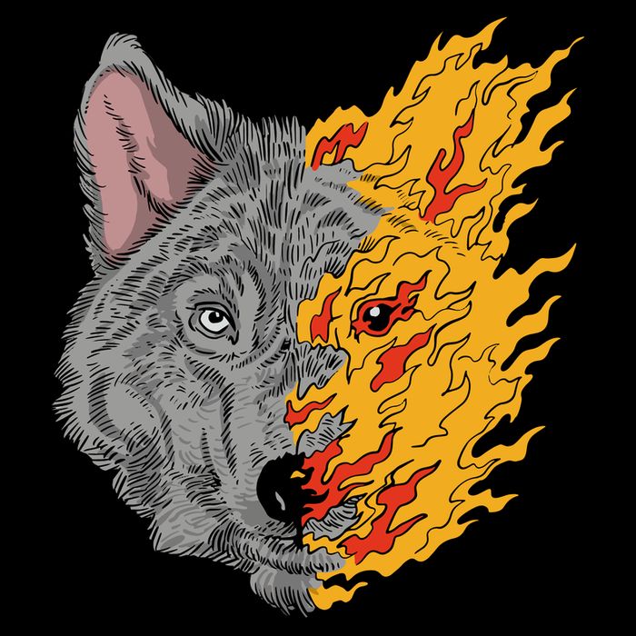 Wolf Face On Fire Women's V-Neck T-Shirt