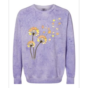 Womens Funny Pomeranian Flower Fly Dandelion Dog Lover Colorblast Crewneck Sweatshirt