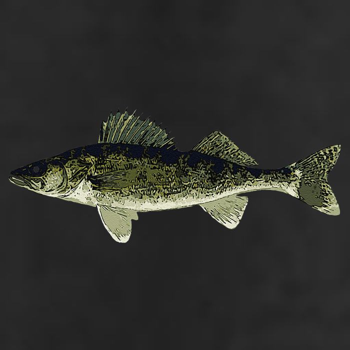 Walleye Fish Pickerel Fishing Lover Fisherman Adult Drive Performance Visor