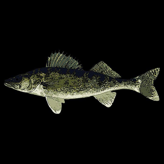 Walleye Fish Pickerel Fishing Lover Fisherman Mug