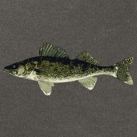 Walleye Fish Pickerel Fishing Lover Fisherman Cotton Canvas Backpack