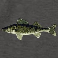 Walleye Fish Pickerel Fishing Lover Fisherman Vector Backpack