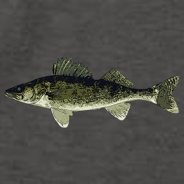 Walleye Fish Pickerel Fishing Lover Fisherman Vector Backpack