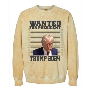 Wanted For President 2024 Trump Mugshot Trump Supporter Colorblast Crewneck Sweatshirt