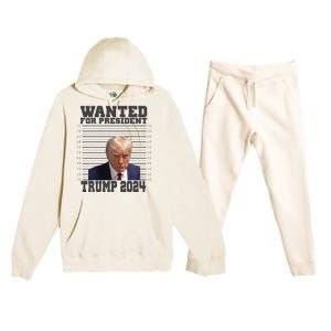 Wanted For President 2024 Trump Mugshot Trump Supporter Premium Hooded Sweatsuit Set